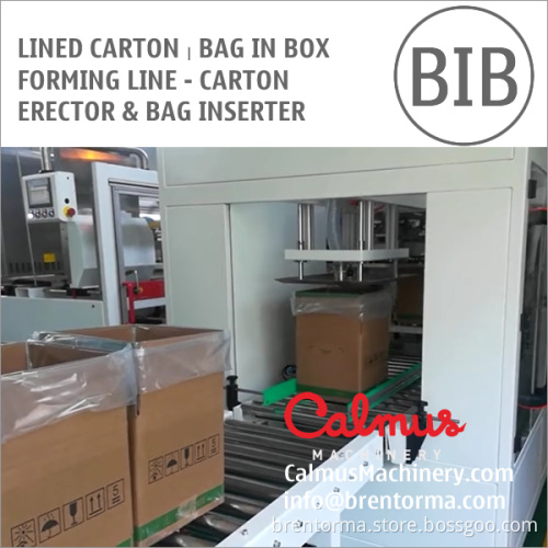 Lined Carton Bag in Box Forming Line - Carton Erector and Bag Inserter